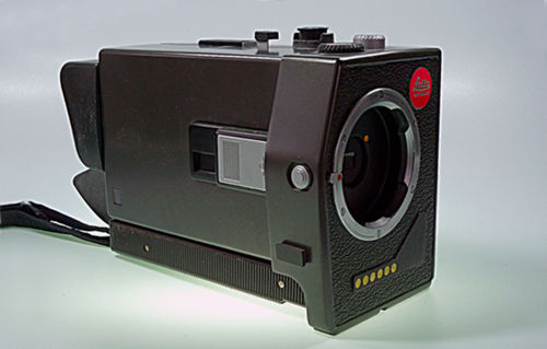 LEICANA-2.jpg