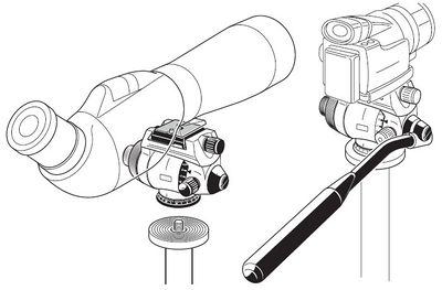Dh123.jpg