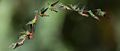 Thumbnail for version as of 22:03, 22 September 2010
